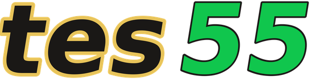 tes55 logo